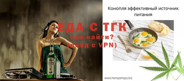 индика Краснотурьинск