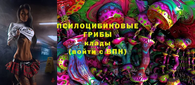 Галлюциногенные грибы Magic Shrooms  дарнет шоп  Кропоткин 