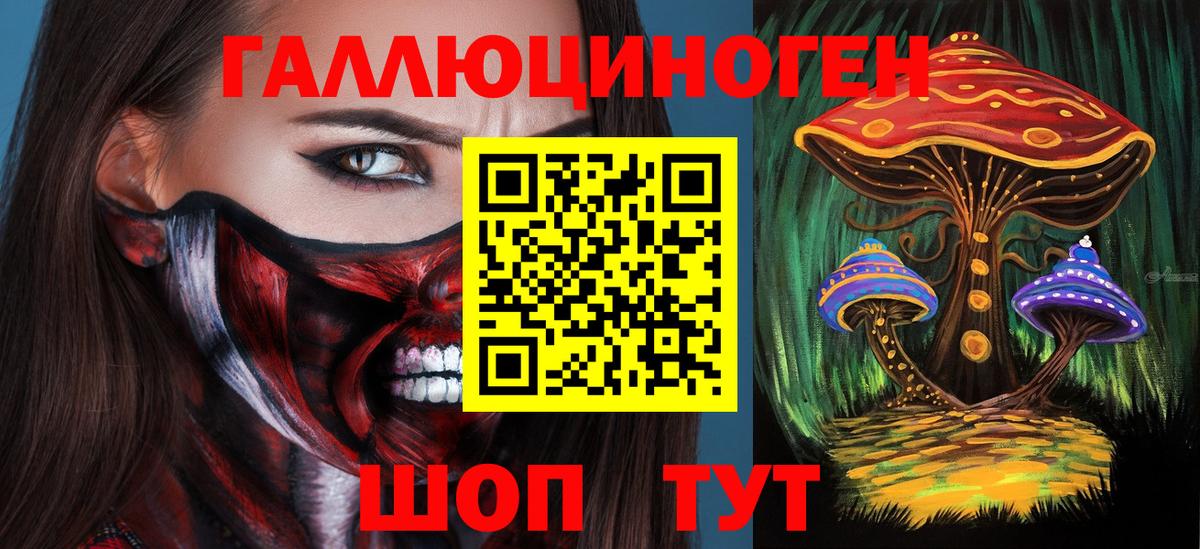 Псилоцибиновые грибы GOLDEN TEACHER Кропоткин