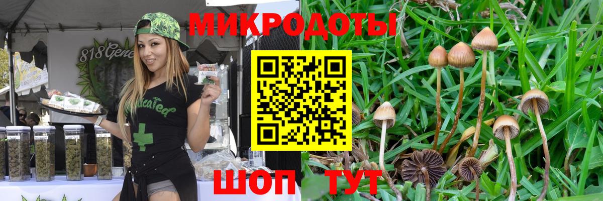 купить наркотики цена  Вход с VPN  Кропоткин  Галлюциногенные грибы GOLDEN TEACHER 