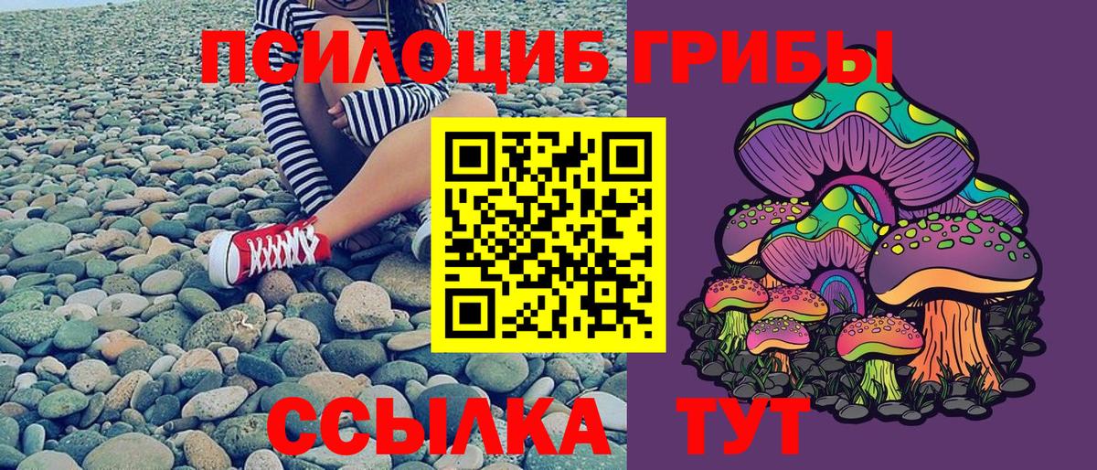 Галлюциногенные грибы прущие грибы  Кропоткин  Псилоцибиновые грибы Psilocybine cubensis 